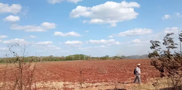 La persona herida en el primer incidente tuvo que correr, ya que fue atacado por una colmena que se encuentra en la etapa de migración