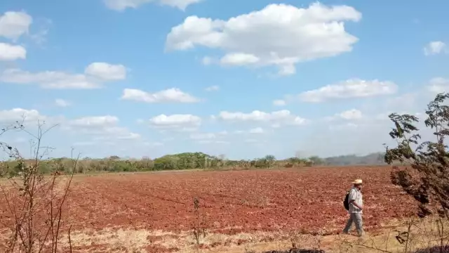 La persona herida en el primer incidente tuvo que correr, ya que fue atacado por una colmena que se encuentra en la etapa de migración