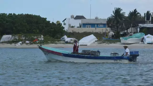 Aunque por ahora no hay riesgo inminente, especialistas y pescadores están atentos a la marea roja