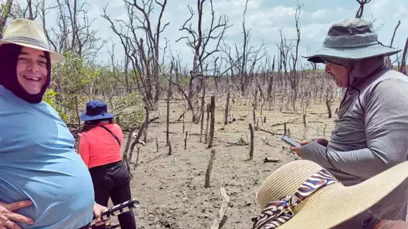 La producción apícola en Sabancuy está en riesgo por la muerte de cientos de kilómetros de mangle negro.