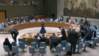 Diez países, incluyendo México, votaron a favor de discutir las tensiones entre Rusia y Ucrania.