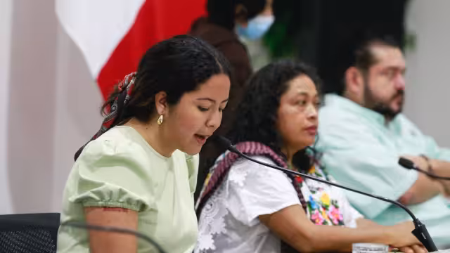 Por unanimidad, la propuesta se admitió en Comisiones y pasa al pleno, donde se analizará mañana