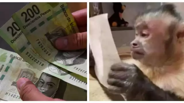 La Ley Federal del Trabajo establece que el aguinaldo es una prestación a la cual, todo trabajador tiene derecho