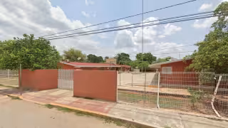 La circulación vial en la calle frente a la escuela Carlos Lugo en José María Morelos se vio afectada por la caída del árbol