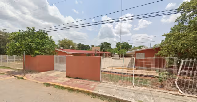 La circulación vial en la calle frente a la escuela Carlos Lugo en José María Morelos se vio afectada por la caída del árbol