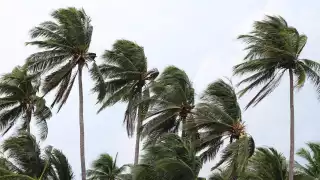 Se prevén fuertes lluvias en Jalisco y Nayarit