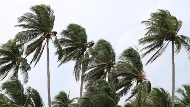 El Huracán Ian va con destino a Carolina del Sur y Georgia