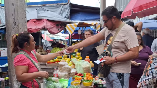 En Yucatán se decomisaron 3 mil 794 piezas, la cifra más alta en los últimos cinco años