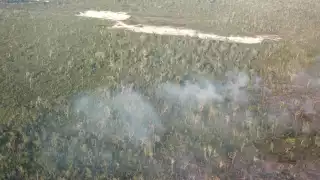 El Incendio en la carretera Mahahual–Pulticub aún no ha sido controlado, por lo que podría consumir más selva baja de la Zona Sur de Quintana Roo