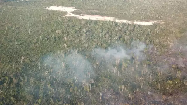 El Incendio en la carretera Mahahual–Pulticub aún no ha sido controlado, por lo que podría consumir más selva baja de la Zona Sur de Quintana Roo