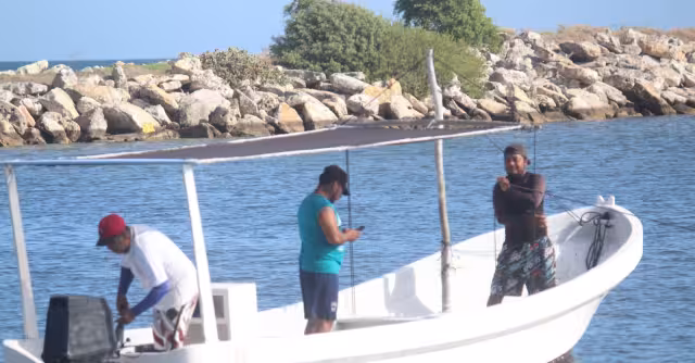 Encomendados a Dios, buzos zarpan desde las 4:00 horas para capturar el preciado crustáceo