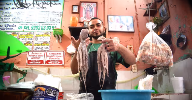 Inicia la captura de pulpo: la Canainpesca prevé obtener más de 24 mil ton del molusco este año