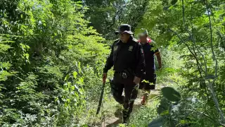 En el 2025, Yucatán registra 48 casos de personas desaparecidas; 18 no han sido localizadas