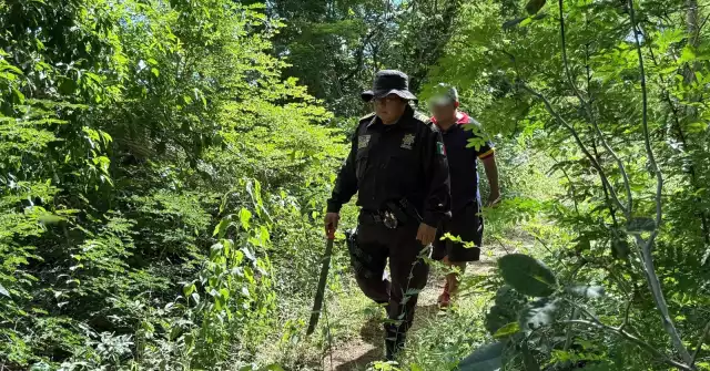 Entre enero y noviembre, 48 personas fueron reportadas como desaparecidas en Yucatán