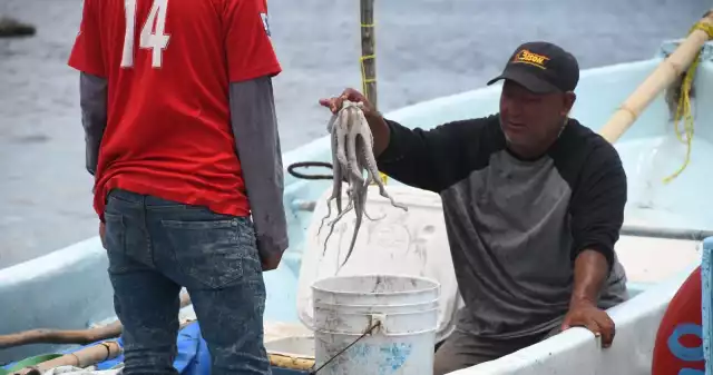 Signos de recuperación para la pesca yucateca