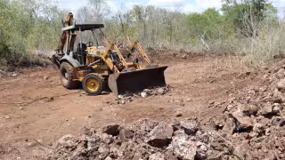 Frenan ecocidio en Cuxtal: clausuran predio por desmonte ilegal en media hectárea en la Reserva Ecológica