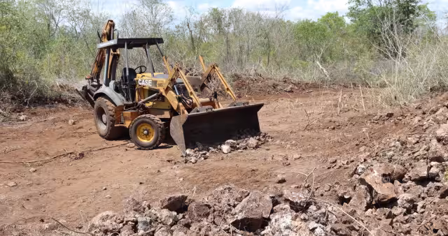 Profepa detecta desmonte ilegal y daños en más de 5 mil metros cuadrados de la reserva natural