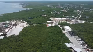 Juez concede suspensión provisional contra cambios de uso de suelo por Perfect Day en Mahahual