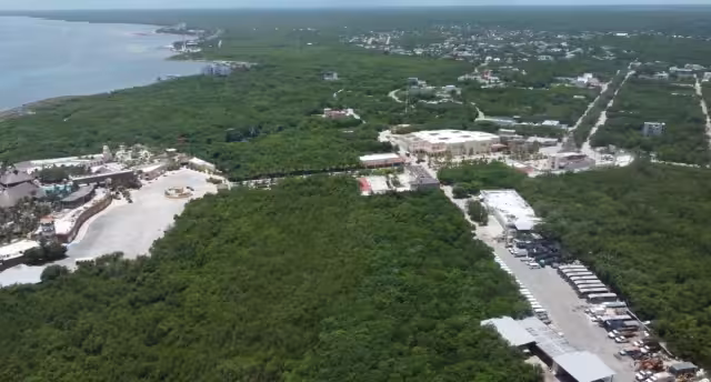 Reconocen que existen  elementos que justifican  la protección urgente  del medio ambiente