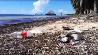 FOTO: Víctor Ávalos