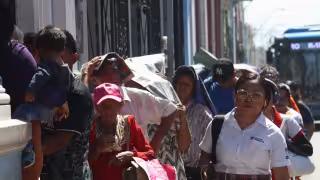 ¿A quiénes se les conoce como “boxitos” en Yucatán? Este es el significado de la palabra