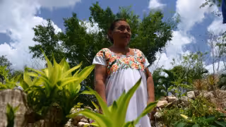Mujeres rurales en Yucatán, con la menor tenencia de tierra en México: apenas alcanzan el 5.1%