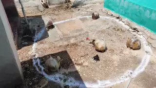 Policía Municipal y SSP acordonaron el camposanto local para las investigaciones correspondientes