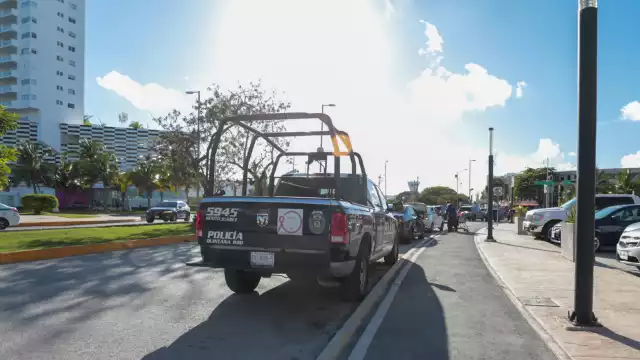 Este modelo de auto es blanco de los ladrones.