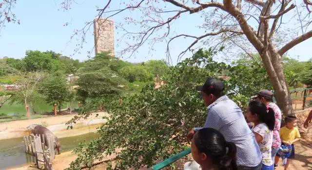 Animaya abrirá por Año Nuevo