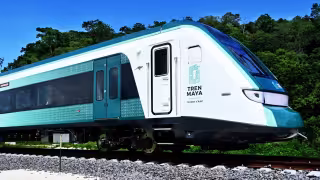 Falla mecánica deja varado al Tren Maya en plena selva de Campeche