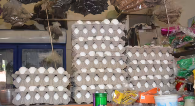 El huevo a precios bajos suele ser exportado