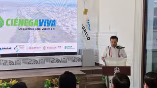 Impulsan el programa Ciénega Viva para proteger humedales y manglares de Progreso