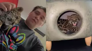 Fofo Márquez nuevamente ha causado controversia con estos videos