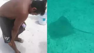 El pescador fue trasladado al centro de salud en Dzilam de Bravo