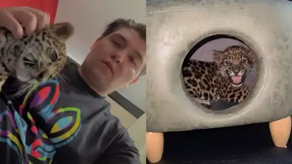 Fofo Márquez nuevamente ha causado controversia con estos videos Fofo Márquez nuevamente ha causado controversia con estos videos