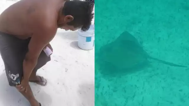 El pescador fue trasladado al centro de salud en Dzilam de Bravo