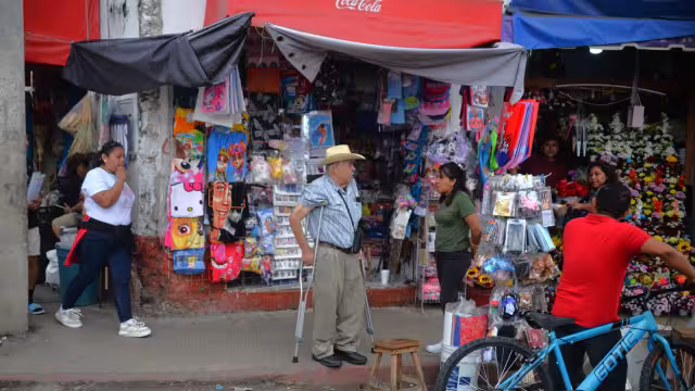 El Ayuntamiento de Mérida realizará operativos contra los moscos, por la próxima temporada de lluvias