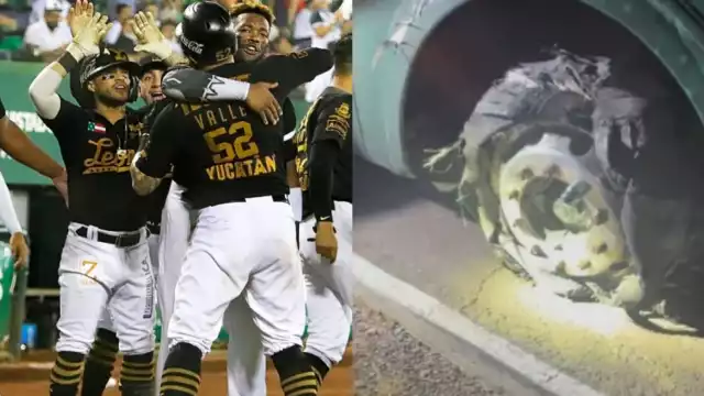 El camión de los Leones de Yucatán fue baleado en la madrugada de este jueves