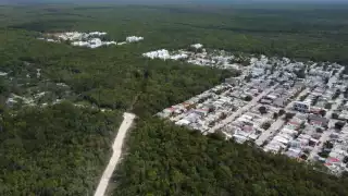 Entre las anomalías detectadas por los Colegios de arquitectos e ingenieros y biólogos estaba fauna que no pertenece a Quintana Roo