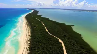 En Quintana Roo se pueden encontrar varias Áreas Naturales Protegidas que son un deleite para los amantes de la naturaleza