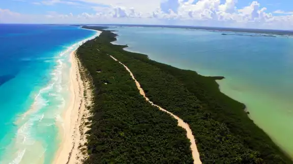 En Quintana Roo se pueden encontrar varias Áreas Naturales Protegidas que son un deleite para los amantes de la naturaleza