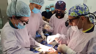 En Yucatán, hijo dona riñón a su madre y le da una nueva oportunidad de vida