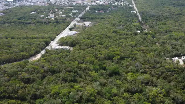 La controversia persiste por la licencia de fraccionamiento otorgada por Rocío Beltrán a Altta Home