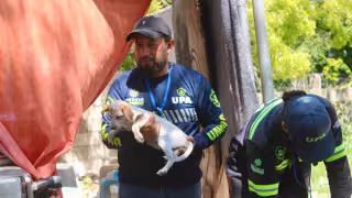 Vacaciones disparan casos de maltrato animal en Mérida; perros amarrados y abandonados, los más afectados