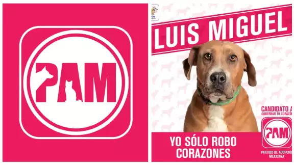 La campaña se puede encontrar tanto en sus redes sociales como en su página web