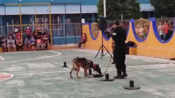 El Centro de Adiestramiento Canino Duarte visitó Buctzotz para dar a conocer su forma de trabajo con la policía El Centro de Adiestramiento Canino Duarte visitó Buctzotz para dar a conocer su forma de trabajo con la policía