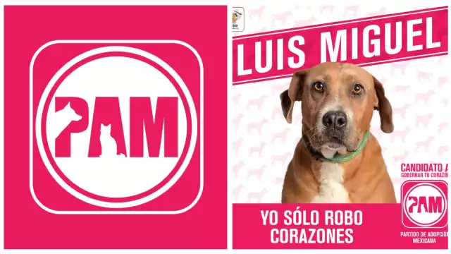 La campaña se puede encontrar tanto en sus redes sociales como en su página web