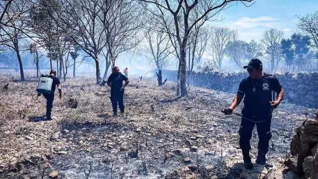 Elementos de Protección Civil, la Policía Municipal y bomberos combaten siniestro en un terreno