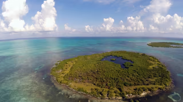 Banco Chinchorro, paraíso submarino