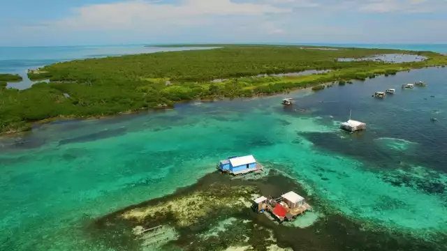Explora otro mundo bajo el agua en el Banco Chinchorro
